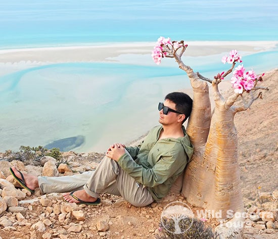 Socotra Island Tour from Jeddah