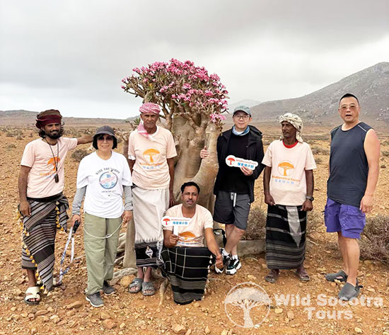 Socotra Group Tour